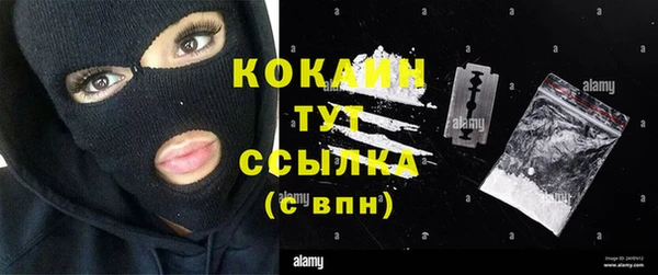 твердый Бородино