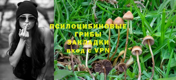дмт Бугульма