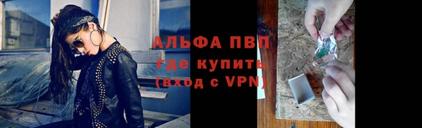 твердый Бородино