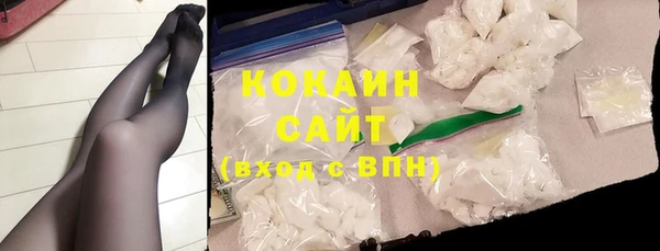 твердый Бородино