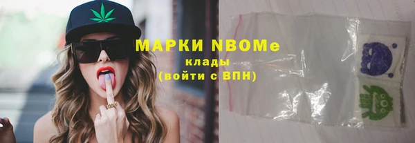 твердый Бородино