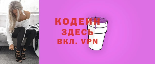 твердый Бородино