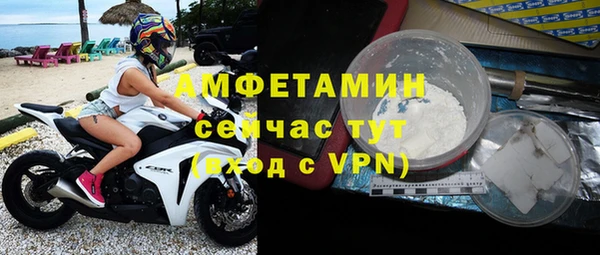 твердый Бородино