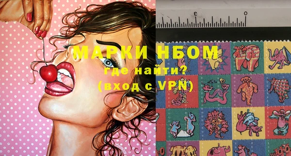 твердый Бородино