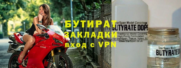 твердый Бородино