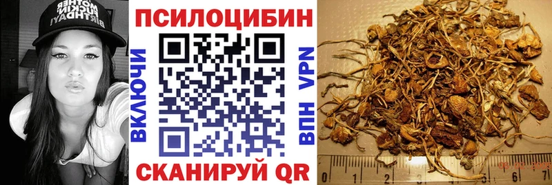 hydra онион  где купить наркоту  Волжский  Галлюциногенные грибы Magic Shrooms 